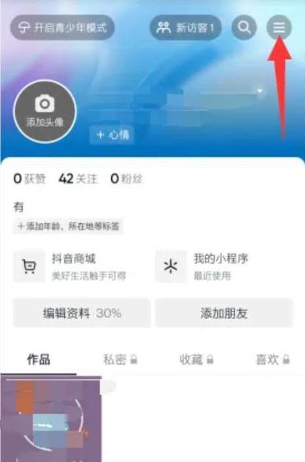 抖音极速版免费安装窗口在哪里