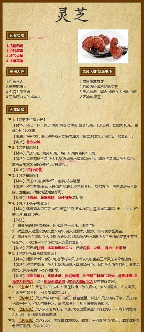中药灵芝的功效与作用