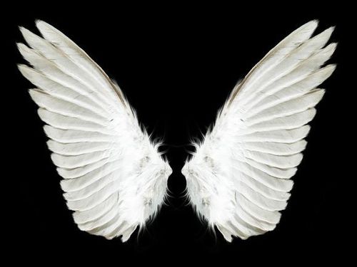 ᨳᤢᤣ゛翅膀恶魔特殊符号