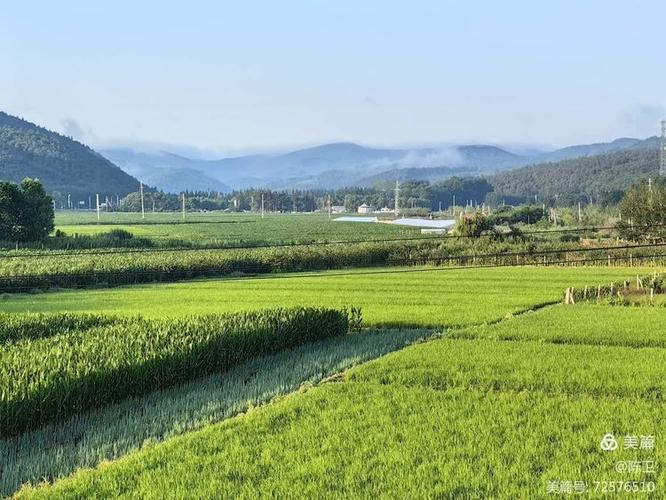 summer田舍生活冷狐版游戏背景