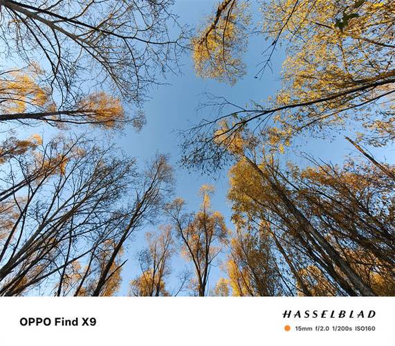 oppofindx9pro拍照怎么样