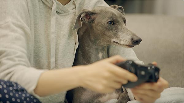 Dogsareourbestfriends翻译成中文