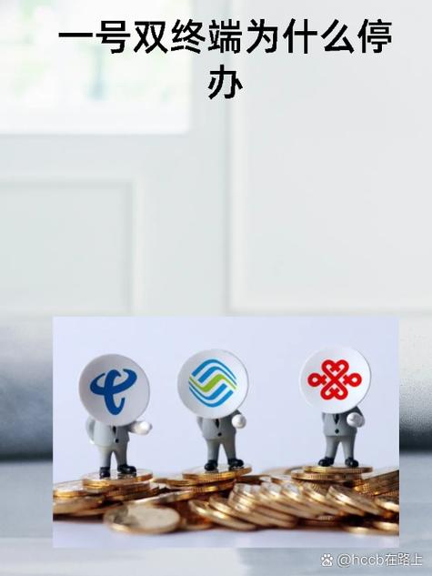 为何不建议一号双终端