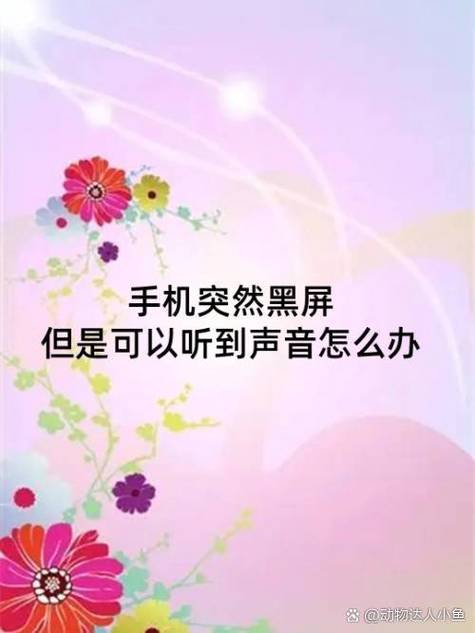 vivo手机屏幕黑屏但是有声音