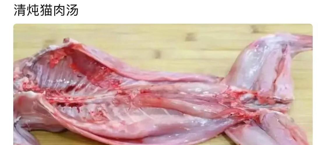 猫肉最好吃的做法