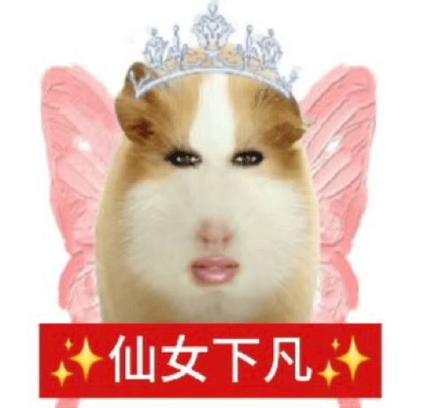仙女表情包搞笑沙雕