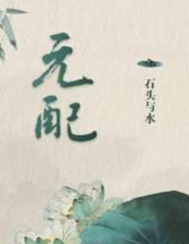 石头与水的所有小说