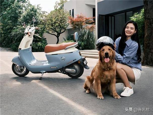 爱玛电动车钥匙使用教程