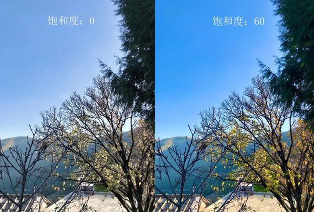 手机相机中的饱和度和对比度
