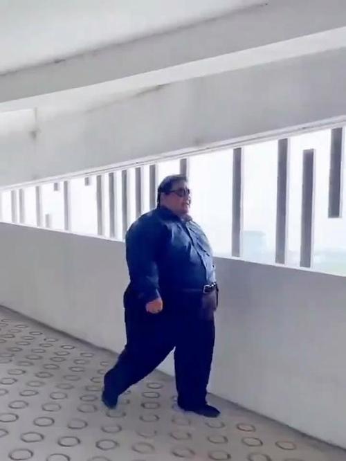 大胖熊