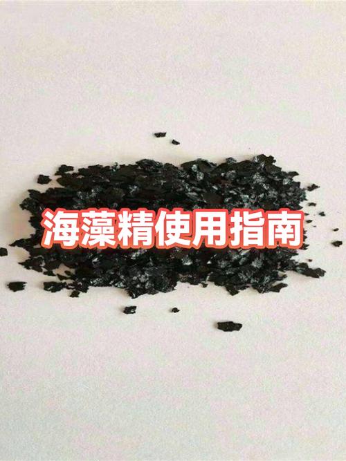 海藻精怎样使用
