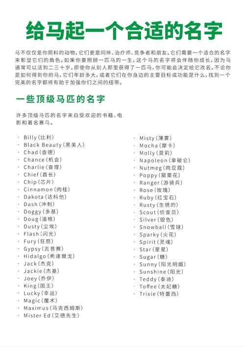 骑马与砍杀steam名字
