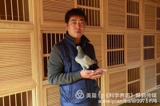 搜鸽天下一查信鸽成绩足环号天落
