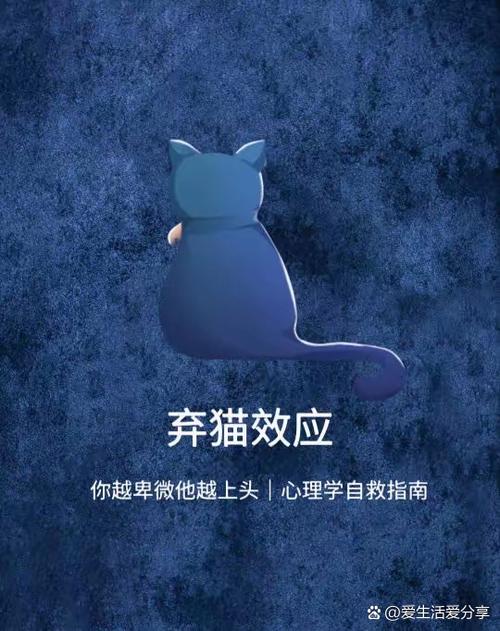 男人喜欢猫的心理暗示