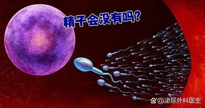 精子会没有了吗