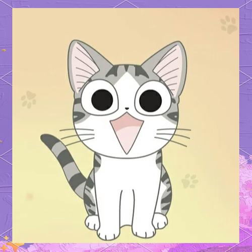 养美短猫十大禁忌