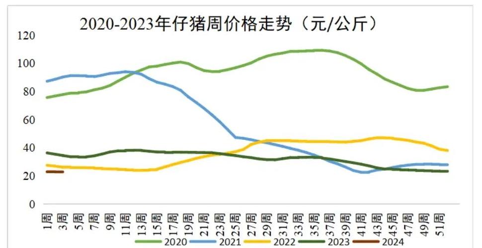 小猪价格15-20公斤今日