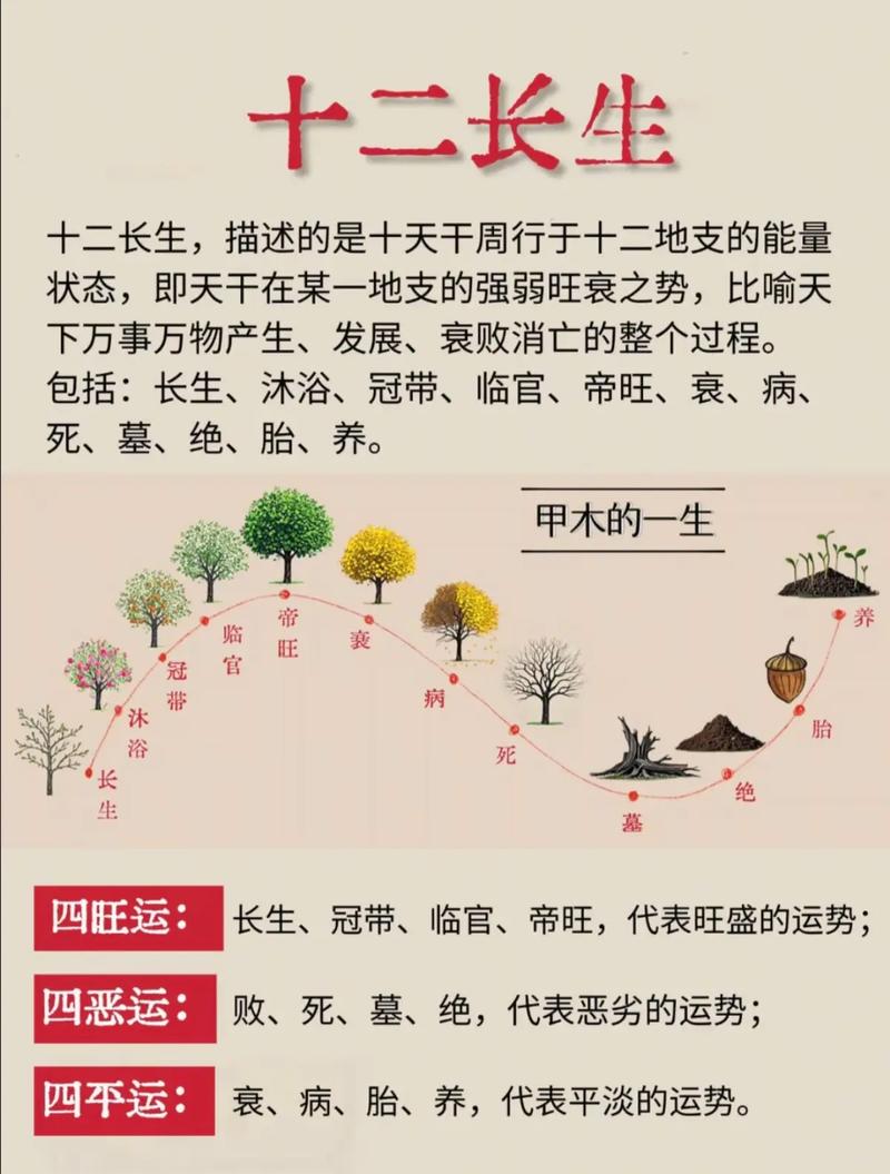 长生种衍墨轩