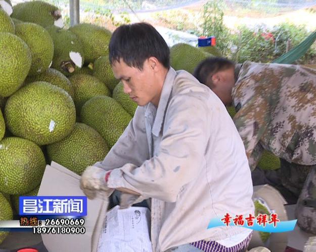 带壳菠萝蜜多少钱一斤