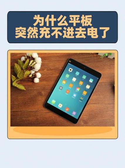 ipad为什么充不进电