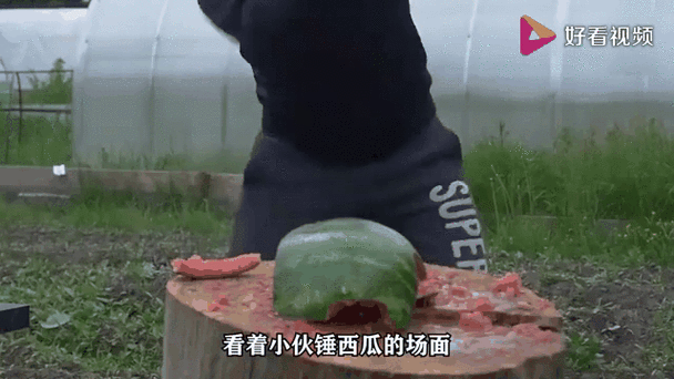 极速版西瓜视频