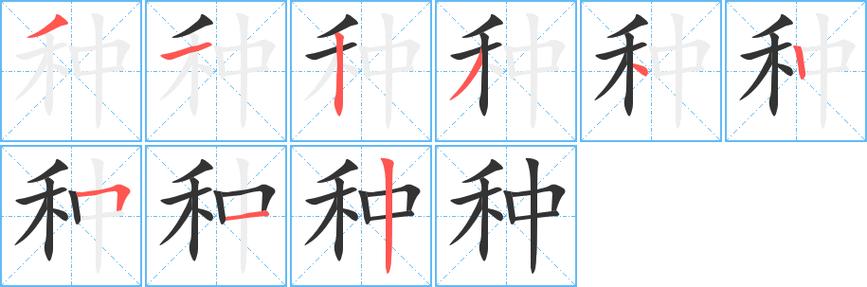 种字拼音