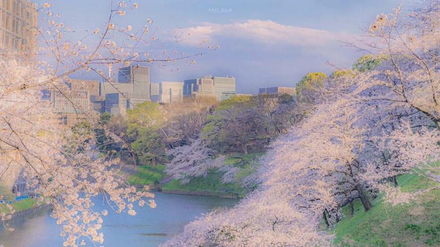 电脑下载ins图片