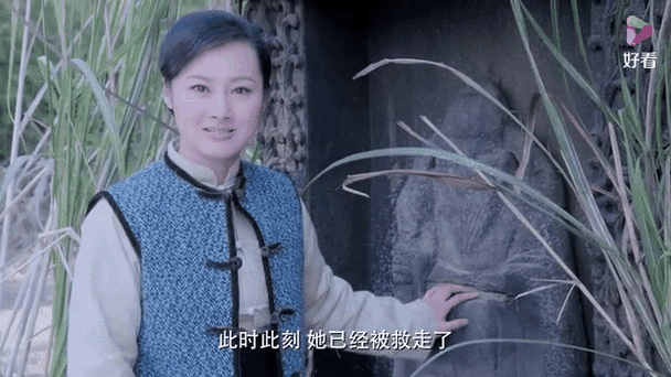 三嫂电视TV