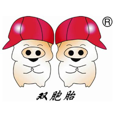 双胞胎招聘官网入口
