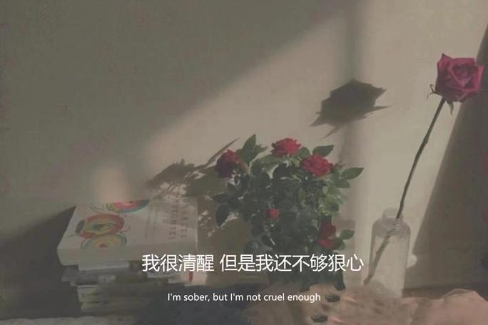 女人带点脾气的高冷文案