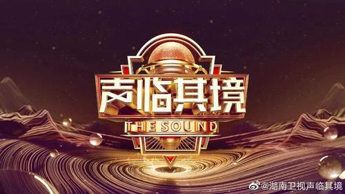 国产口碑最好音响