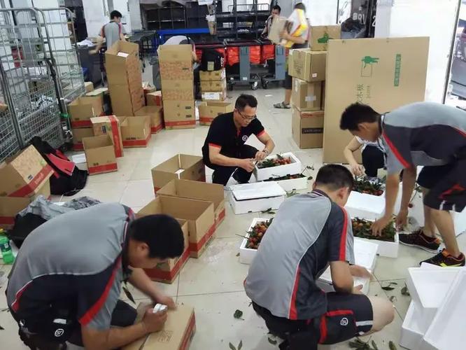 顺丰入职信息录入成功