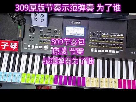 kb309电子琴节奏包