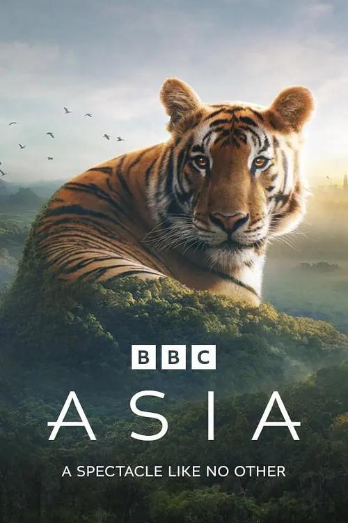 bbc在线看免费高清纪录片中文