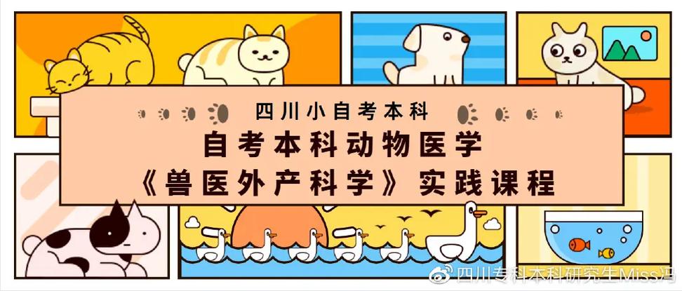 兽医英语谐音