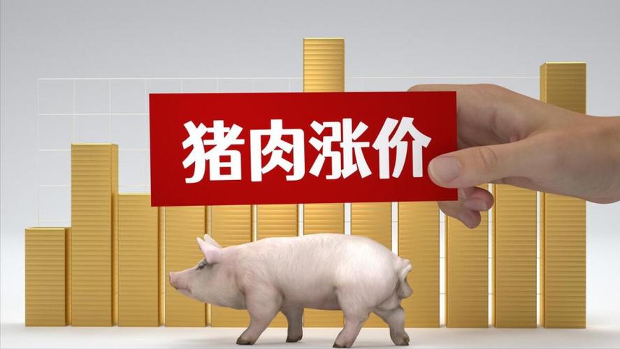70一80斤小猪价格表