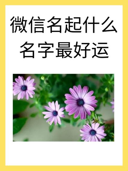 木子微信昵称