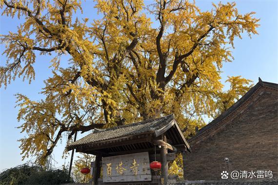 100种佛塔图片