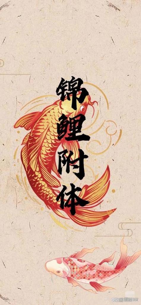 锦鲤附体