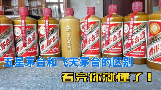 茅台是飞天茅台好还是五星茅台好