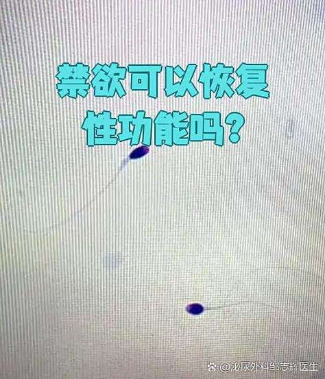 长时间禁欲可以使性功能恢复吗?