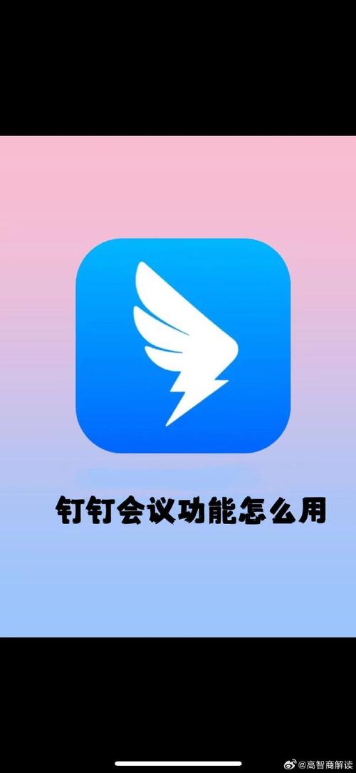 汀汀会议