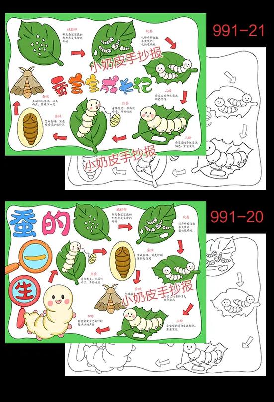 小小养蚕师不减反增
