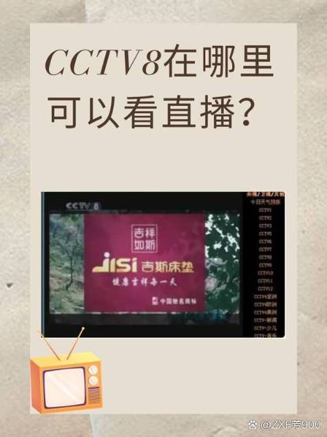 中央八台电视直播
