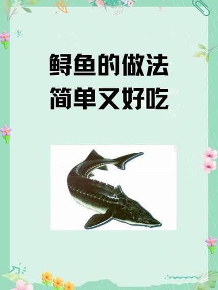 人工养鲟鱼多少钱一斤