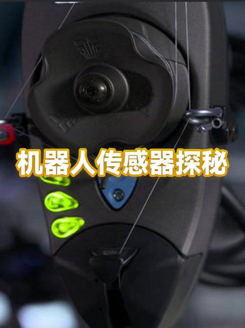 王者荣耀如何查摄像头