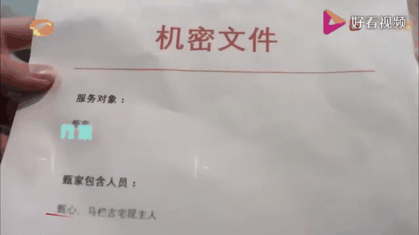 机密文件的格式