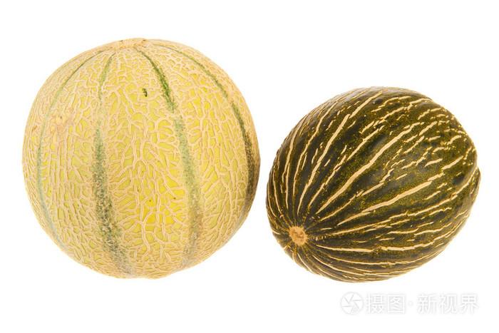 melon中文