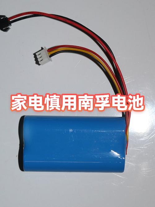 什么东西里不能放南孚电池