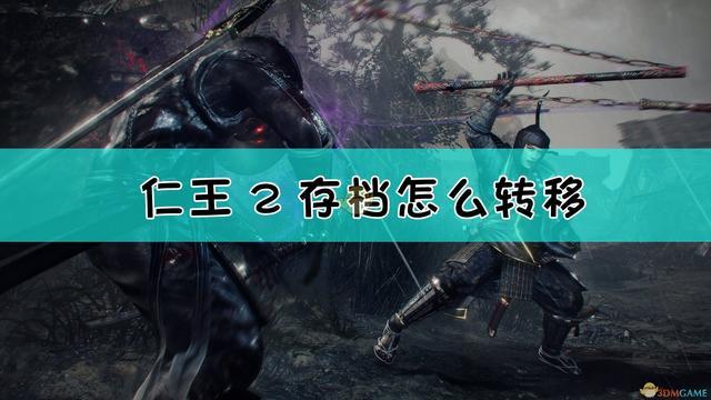 ps4仁王存档sw修改